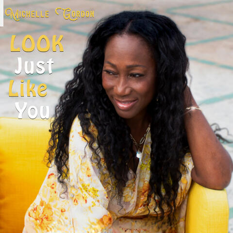 Look Just Like You album art