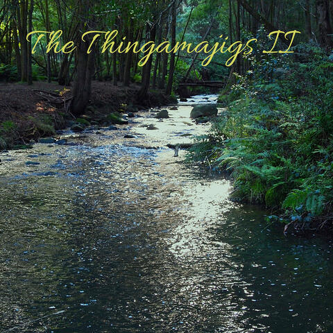 The Thingamajigs II album art