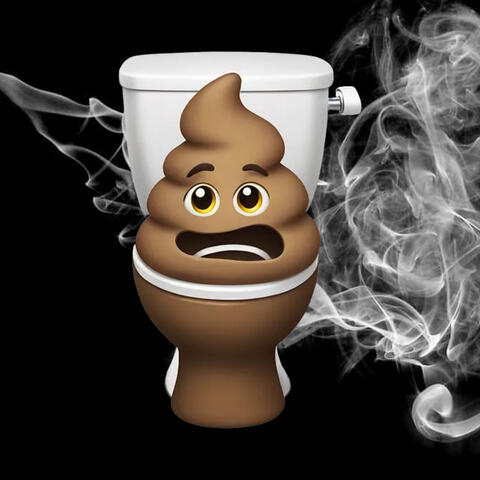 Skibidi Poop Rizz album art