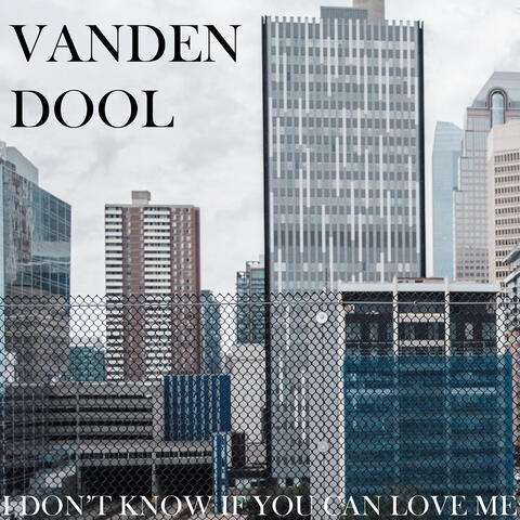 I Don't Know If You Can Love Me album art