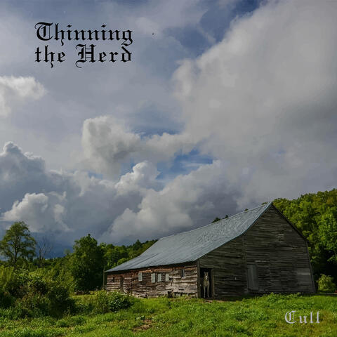 Cull album art
