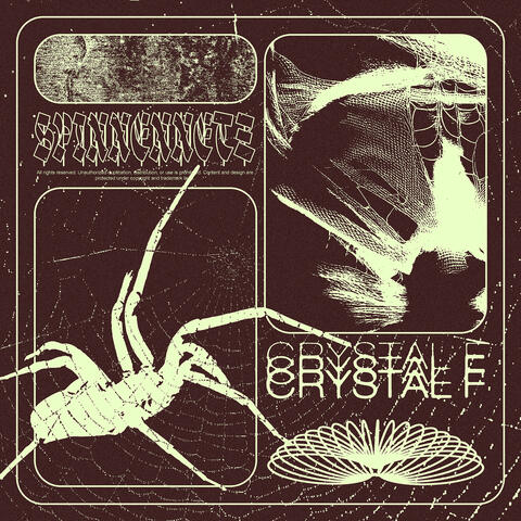 Spinnennetz album art