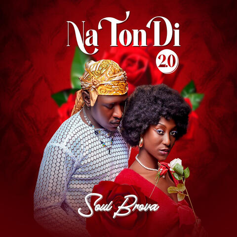 Na Tondi 2.0 album art