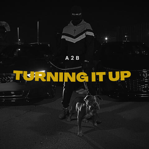 Turning It Up album art