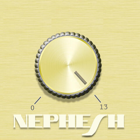 13 album art