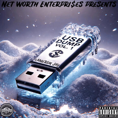 Usb Dump Vol. 1 album art