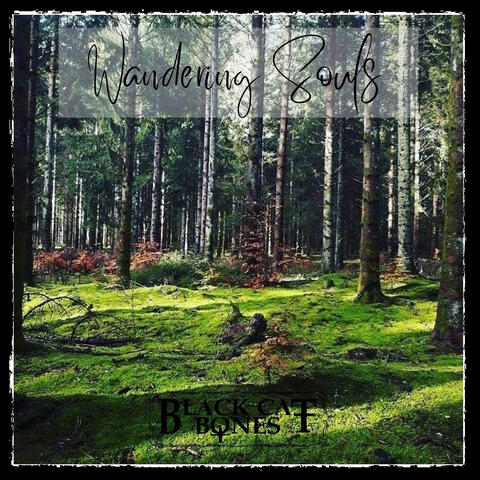 Wandering Souls album art