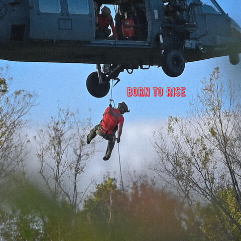 Born to Rise album art