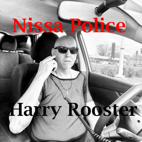 Nissa Police album art
