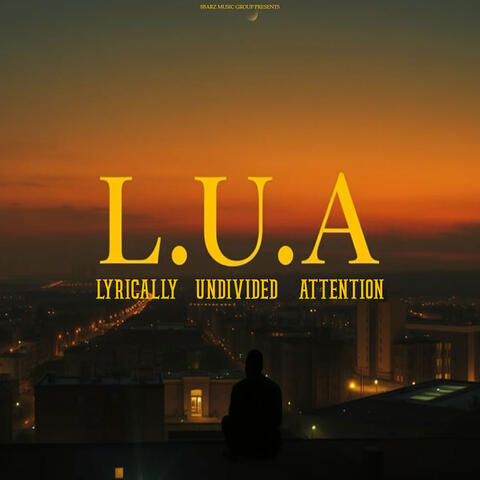 Lyrically Undivided Attention album art