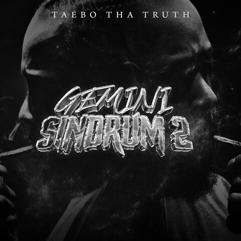 Gemini Sindrum 2 album art