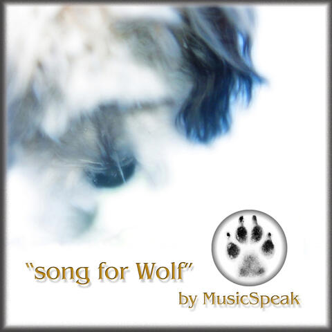 Song for Wolf album art