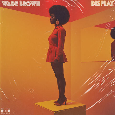 Display album art