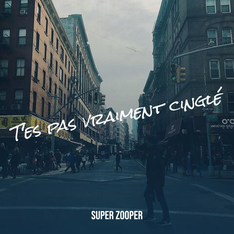 T'es pas vraiment cinglé album art