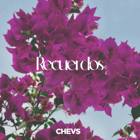 Recuerdos album art