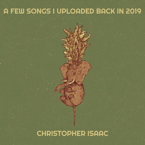 A Few Songs I Uploaded Back in 2019 album art