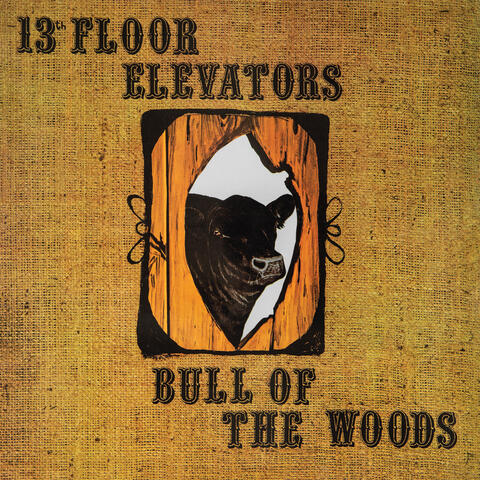 Bull of the Woods album art