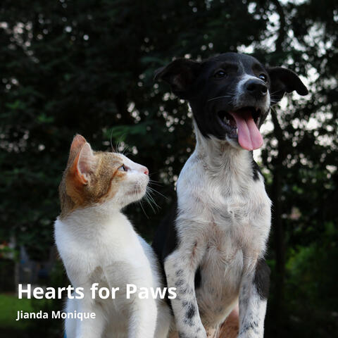 Hearts for Paws album art