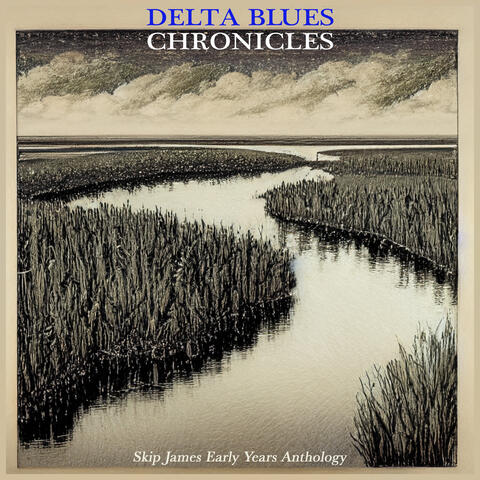 Delta Blues Chronicles - Skip James Early Years Anthology album art