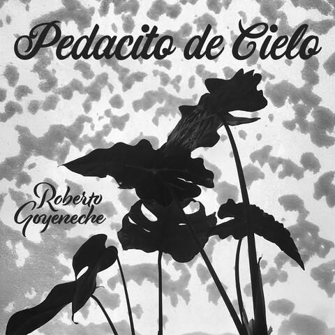 Pedacito de Cielo - Eternal Tango Nights with Goyeneche album art