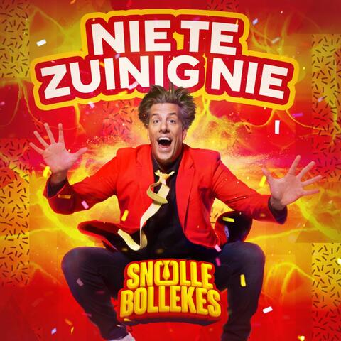 Nie Te Zuinig Nie album art