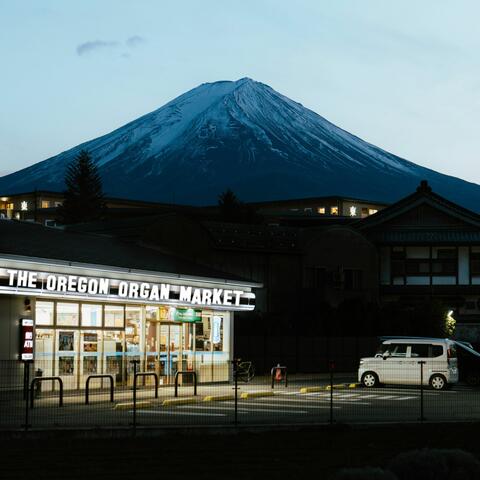 The Oregon Organ Market album art
