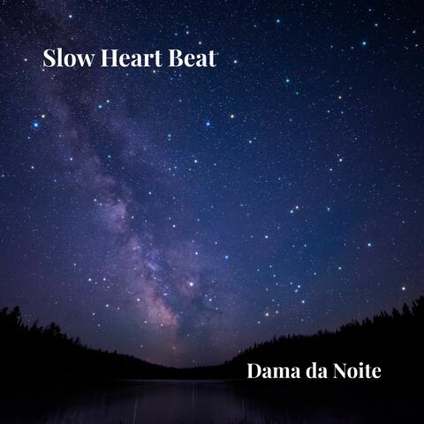 Dama da Noite album art