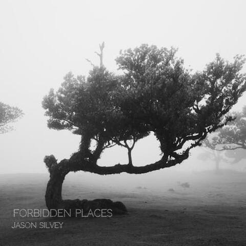 Forbidden Places album art