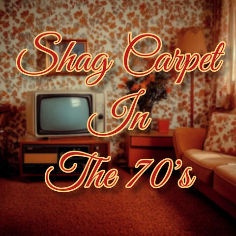 Shag Carpet in the '70S album art