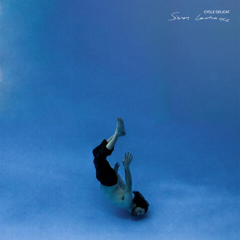 Cycle délicat album art