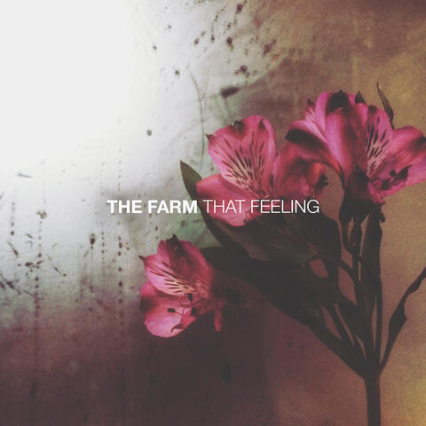 That Feeling album art
