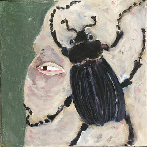 drains album art