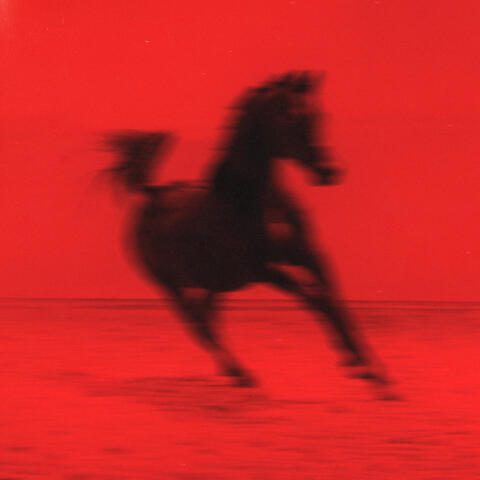 Crush, TX album art