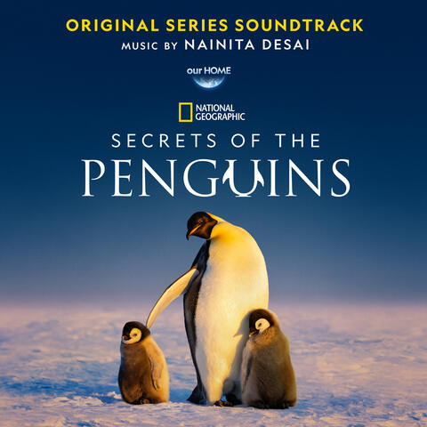 Secrets of the Penguins album art