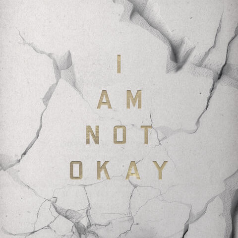 I Am Not Okay album art