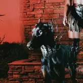 Image of MUTT