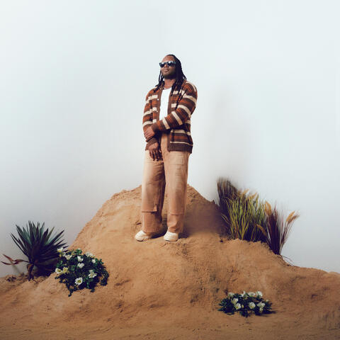 Real album art
