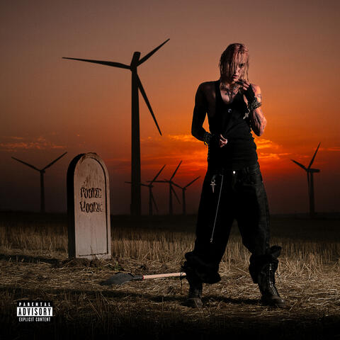 pookie wookie album art