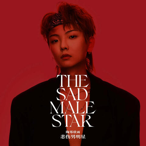 悲伤男明星 album art
