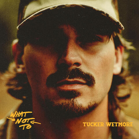 What Not To album art