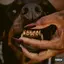 MUTT Deluxe: HEEL album artwork