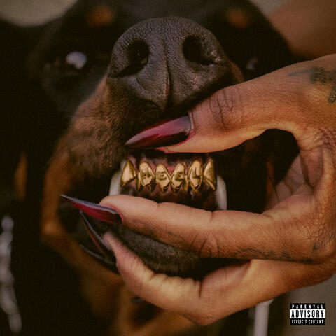 MUTT Deluxe: HEEL album art