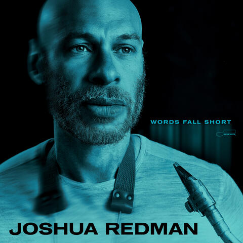 Words Fall Short album art
