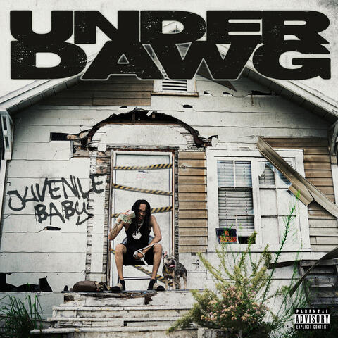 UnderDawg album art
