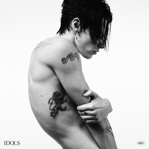 Idols album art