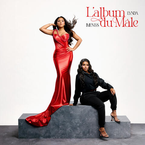 L'album du mâle album art