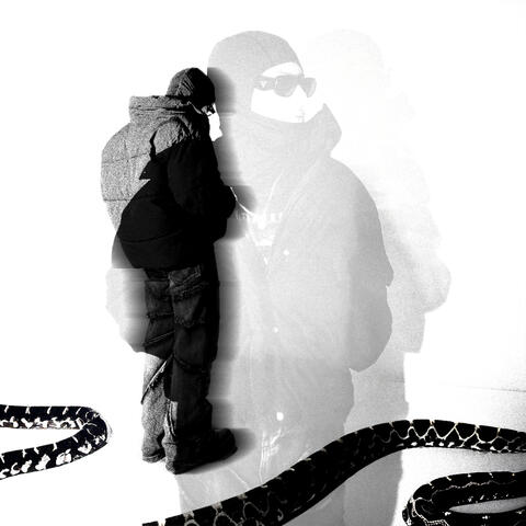 Węże album art