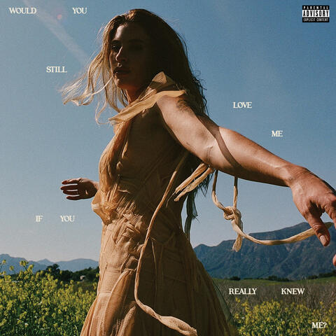 Would You Still Love Me If You Really Knew Me? album art