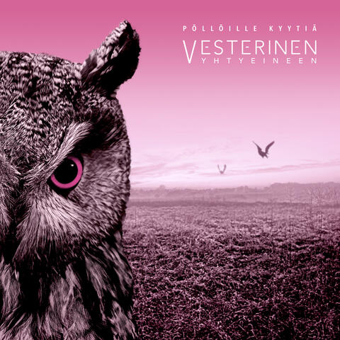 Pöllöille kyytiä album art