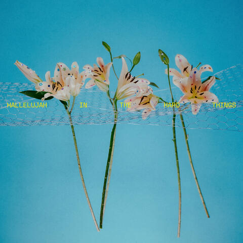 Hallelujah In The Hard Things album art